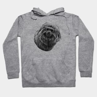 Golden lion tamarin Hoodie